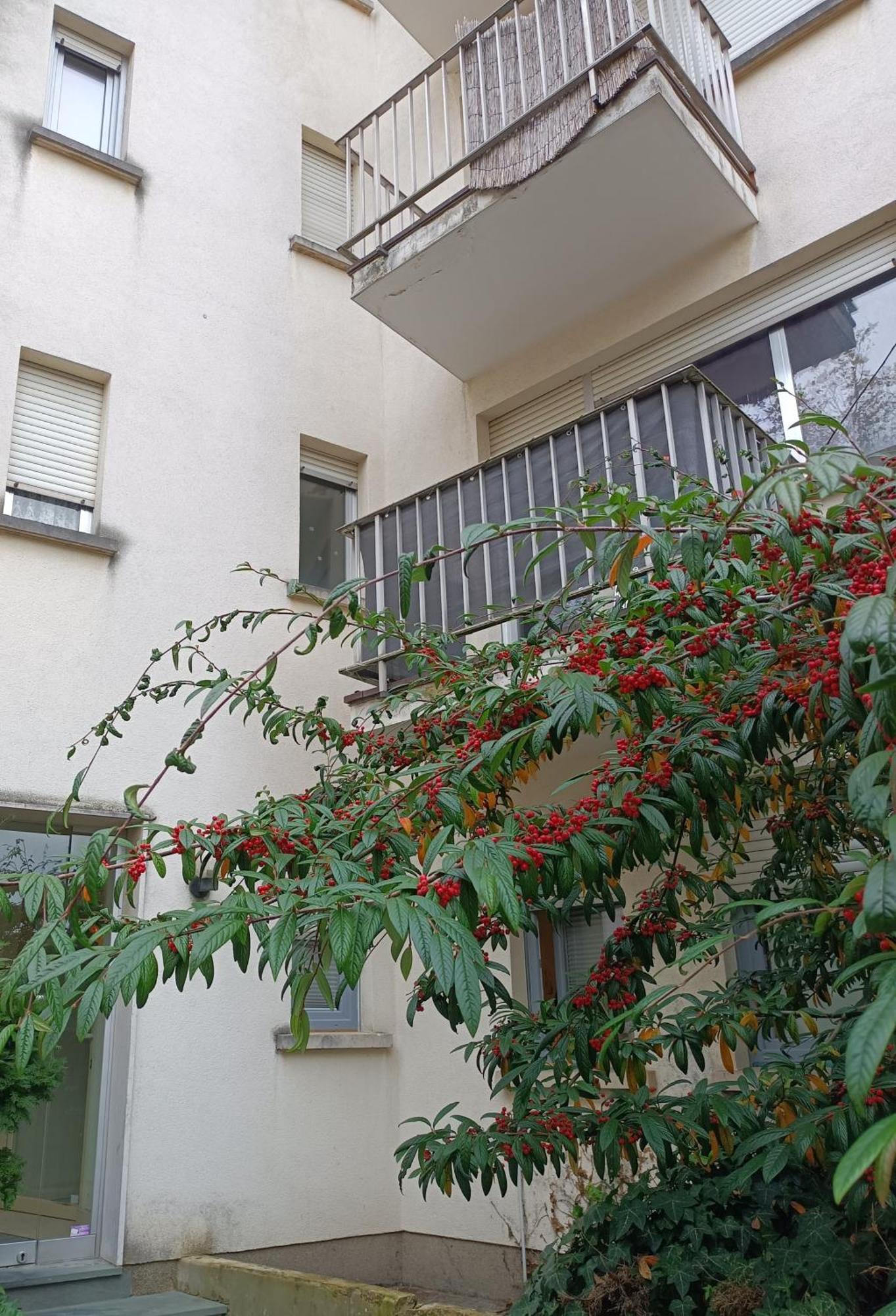 Casa Limpertsberg Apartment Luxembourg Exterior photo